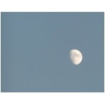 moon over tel aviv promenade.jpg
